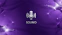 create a professional sound logo and audio brand id for your company
