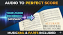 transcribe your ensemble recording into an accurate orchestral score audio sheet