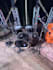 record studio quality acoustic drums for your song