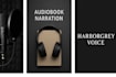provide professional studio quality male voiceover