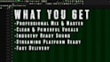 professionally mix or master your vocals or song