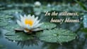 create custom binaural beats sleep, focus, study brainwave music video