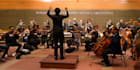 compose music for your project