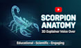 be your engaging british youtube narrator and voice actor