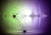 compose professional sound healing audio for meditation and wellness