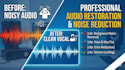 do professional audio mixing, mastering, and noise reduction