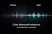 clean audio and improve voice quality