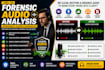do forensic audio analysis, authentication, and forensic report, legal cases