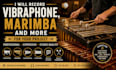 record vibraphone, xylophone, marimba for your project