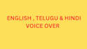 do a professional  hindi voice over for your project