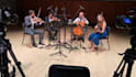record live string quartet, viola, cello, and contrabass for your project