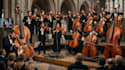 create clean professional string arrangements for your song