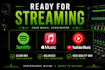 professionally mix your song