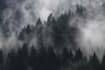 create dark ambient and metal music for what you desire