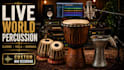 record djembe, tabla, darbuka, and world percussion for your song