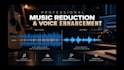 professionally clean, repair and restore your audio