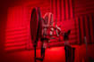 be your professional french canadian voice over artist