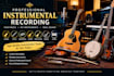 record perfect violin, flute, harmonica, guitar, bass, banjo
