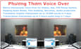 provide vietnamese voice over and dubbing video