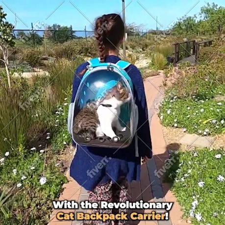 Immagine del campione di lavoro