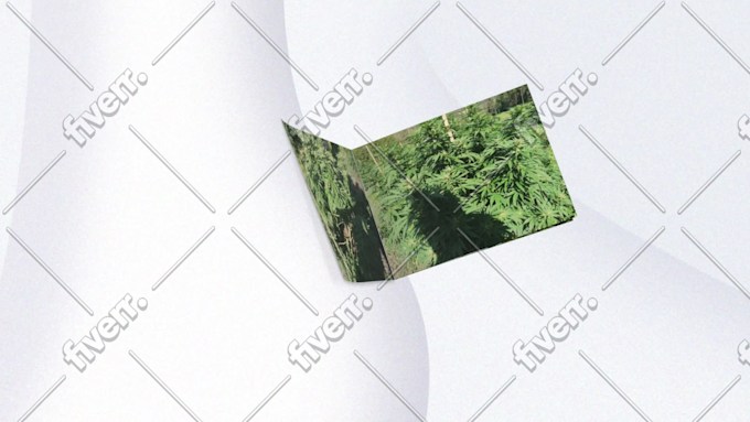 Imagem de amostra