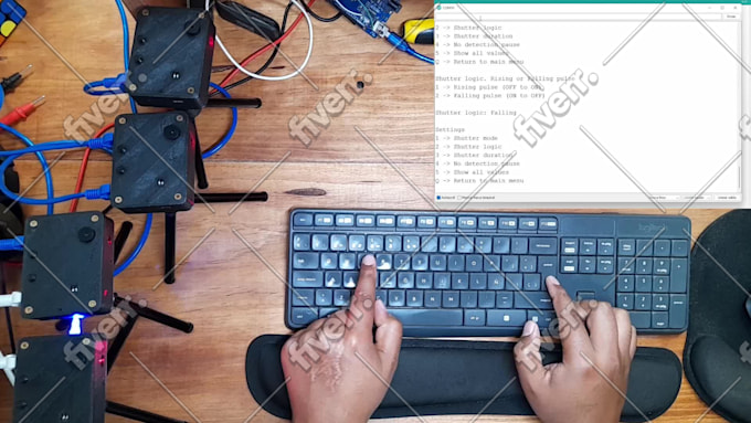Immagine del campione di lavoro