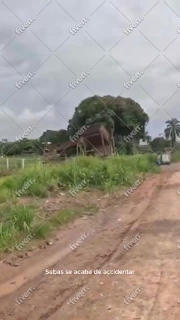 Imagen de muestra de trabajo
