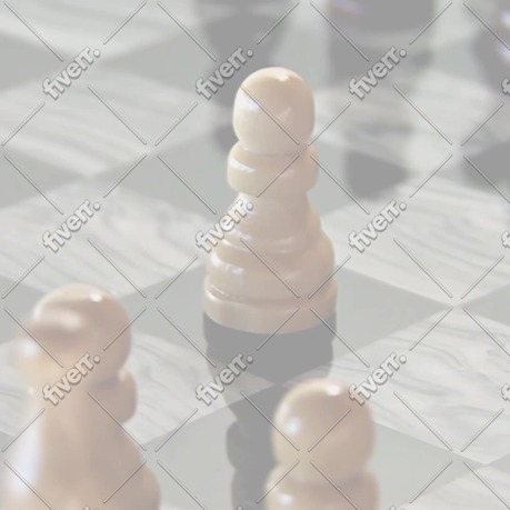 Immagine del campione di lavoro