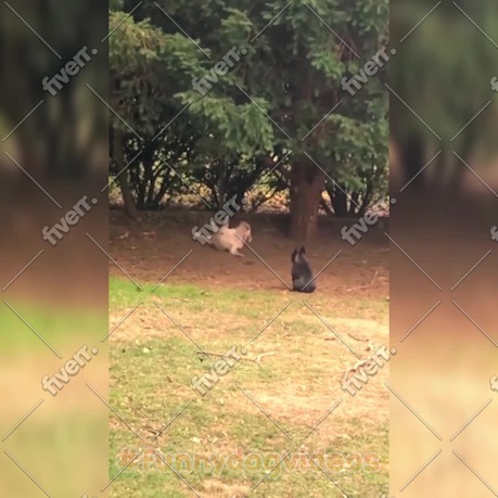 Imagem de amostra