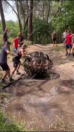 Immagine del campione di lavoro