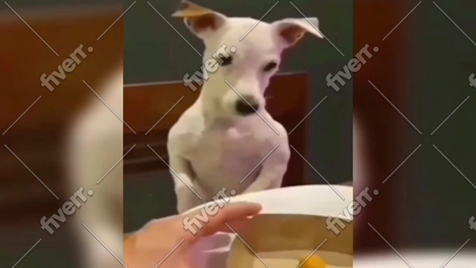 Imagem de amostra