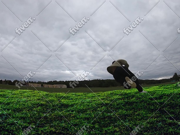 Worksample image