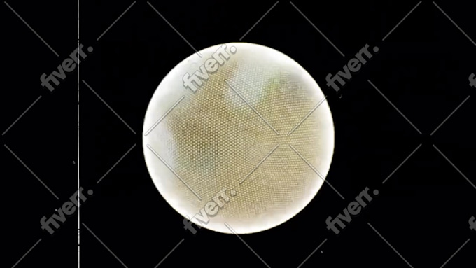 Imagem de amostra