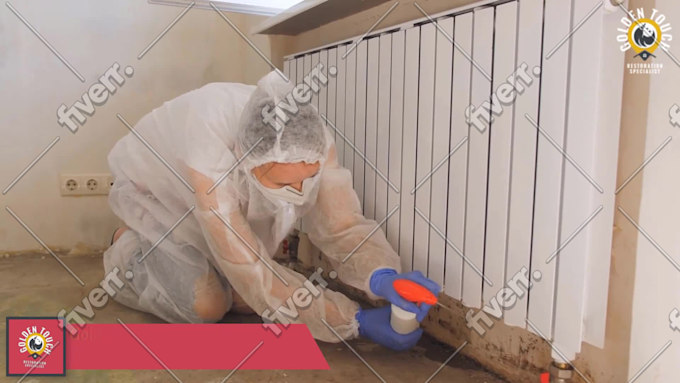 Immagine del campione di lavoro