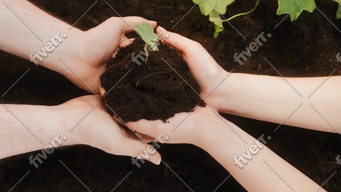 Immagine del campione di lavoro