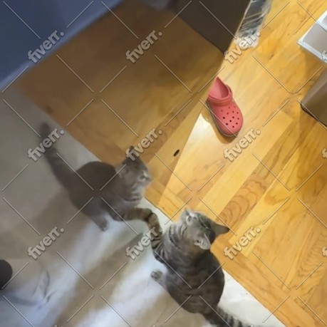Imagem de amostra