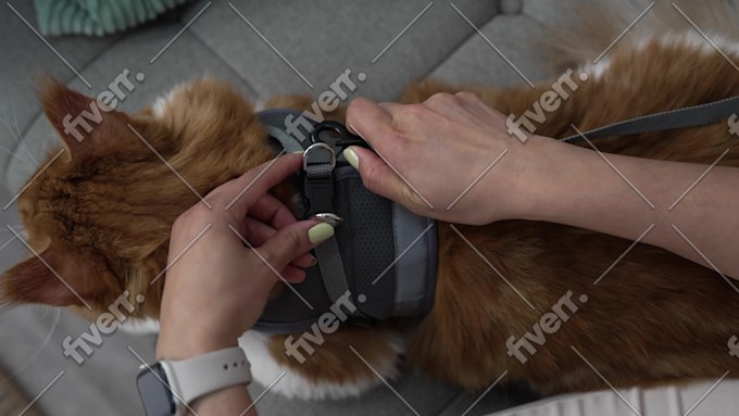 Bild des Arbeitsbeispiels