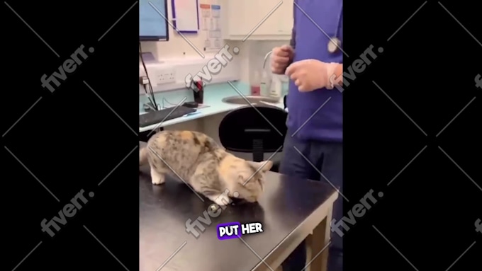 Werkvoorbeeld