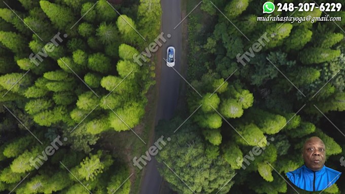 Imagem de amostra