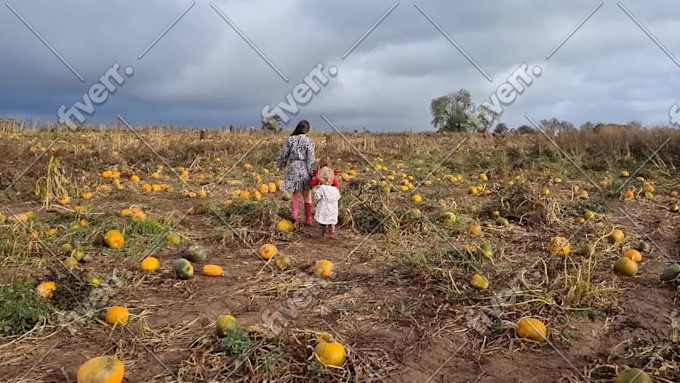 Immagine del campione di lavoro