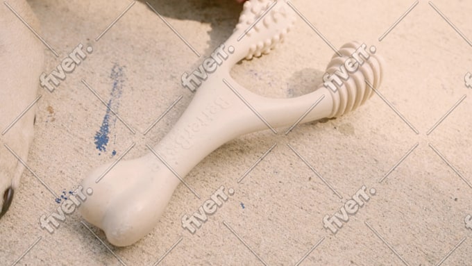 Bild des Arbeitsbeispiels