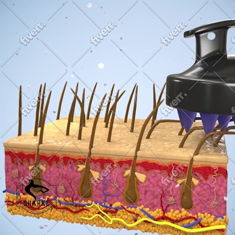 Immagine del campione di lavoro