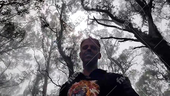 Bild des Arbeitsbeispiels