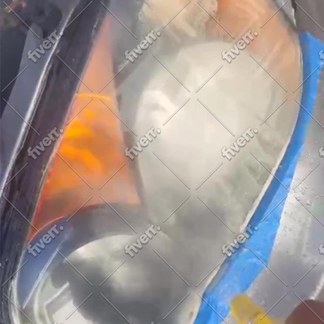 Immagine del campione di lavoro