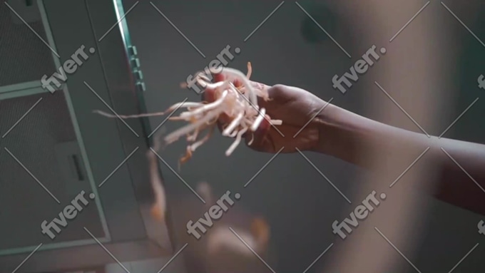 Image d'échantillon de travail