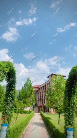 Immagine del campione di lavoro