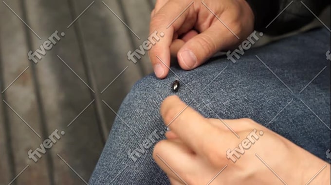 Immagine del campione di lavoro