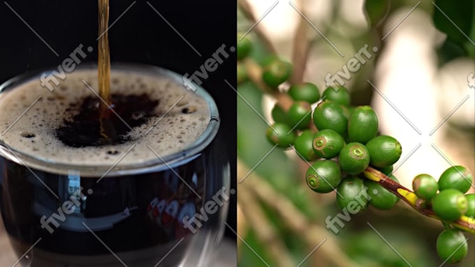 Imagem de amostra