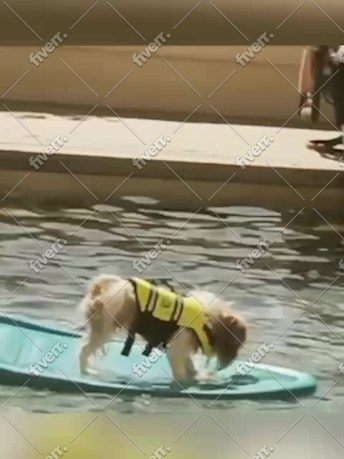 Imagem de amostra
