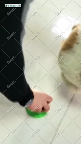 Immagine del campione di lavoro